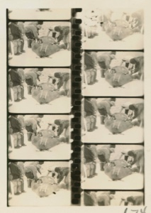 Image of Cutting up walrus. Test strip 5 frames